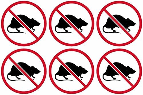 6-2 x 2 Hiçbir Sıçan Birliği Çıkartması Paketi Emek Vinil Sert Şapka Kask Sticker Araba Tampon Pencere