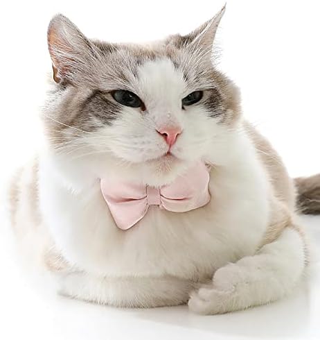 Kedi kayışları papyon ve Sevimli Charm Beyefendi kedi kayışları Ekose Yaka Kedi Malzemeleri Yaka Kediler için Sevgililer