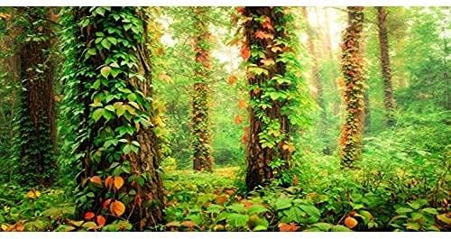AWERT 24x16 inç Derin Orman Teraryum Arka Plan Tropikal Akvaryum Arka Plan Sisli Güneşli Büyük Ağaçlar Sürüngen Habitat Arka