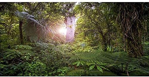 AWERT 30x12 inç Derin Orman Teraryum Arka Plan Tropikal Akvaryum Arka Plan Güneşli Büyük Ağaçlar Sürüngen Habitat Arka Plan
