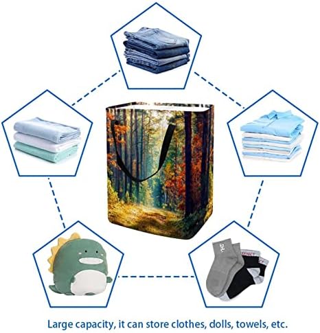 Sonbahar Orman Ağacı Manzara Baskı Katlanabilir çamaşır Sepeti, 60L Su Geçirmez çamaşır sepetleri Çamaşır Kutusu Giysi Oyuncak
