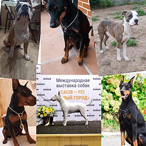 Ximipet Ağır Köpek Choke Yaka Kayma Köpek P Zincir Yılan Yaka Kaplama Anti-Pas Köpek Eğitim Yaka Küçük Büyük Köpekler için